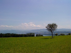 zürich